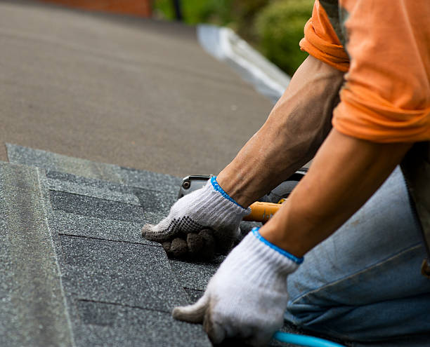 Best Roof Maintenance Services  in Rochelle, GA