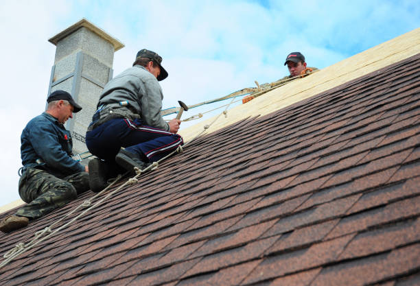 Roof Gutter Cleaning in Rochelle, GA